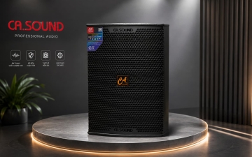 CASOUND X-10 – Loa Full Range 10 Inch 300W RMS Cho Karaoke Và Hệ Thống Âm Thanh