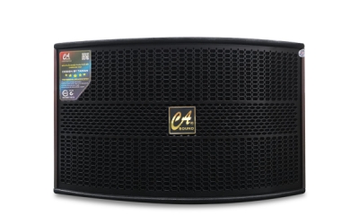 CASOUND K-310 Plus – Loa Karaoke 10 Inch Cho Gia Đình Và Phòng Hát